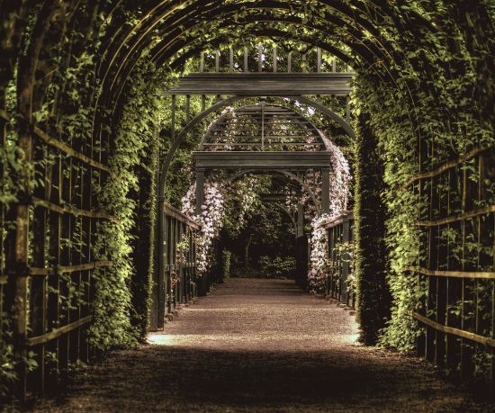 My Wedding Listing Location Taxonomy Groningen