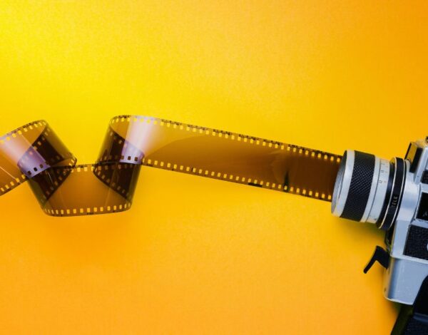 Trouwlocaties Listing Category Paradise Point Resort